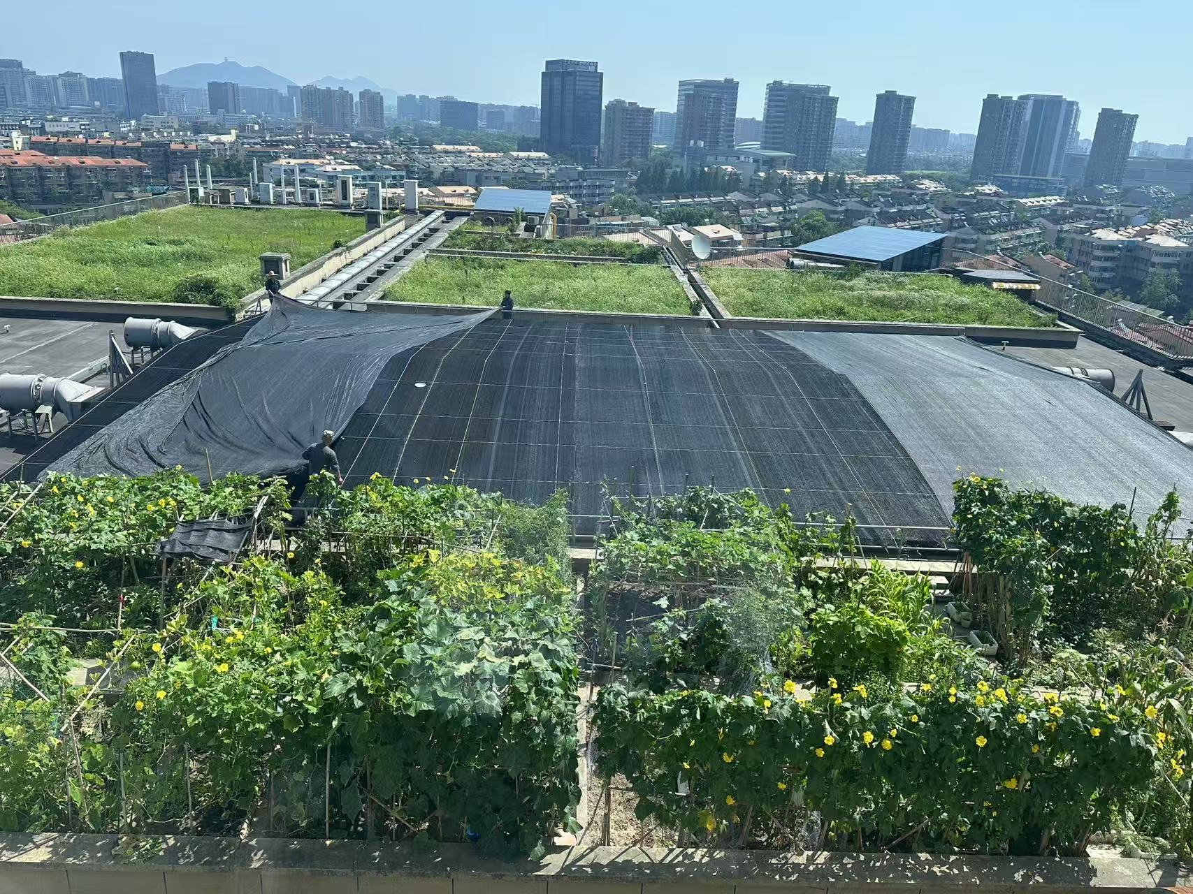 水晶城巧施”遮陽術“，為節能降耗注入清涼動力