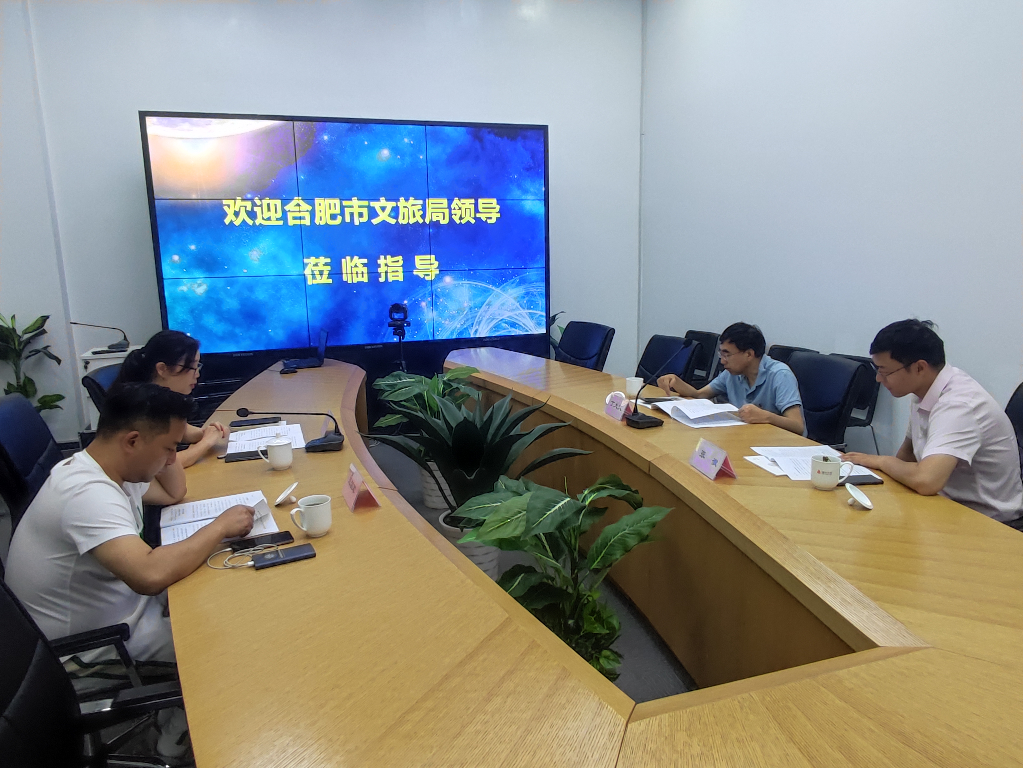 合肥市文化旅游局丁大文處長(zhǎng)一行蒞臨建華文創(chuàng)集團(tuán)調(diào)研