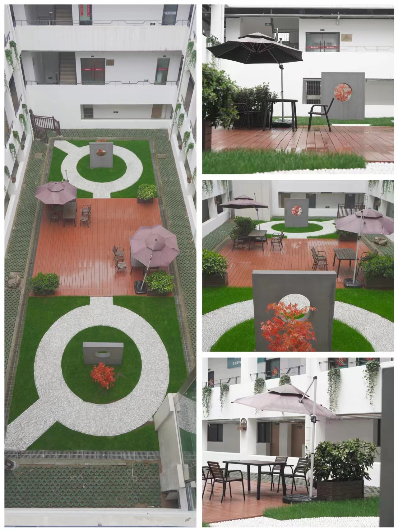 廬陽文創(chuàng)園開展綠化提檔工作