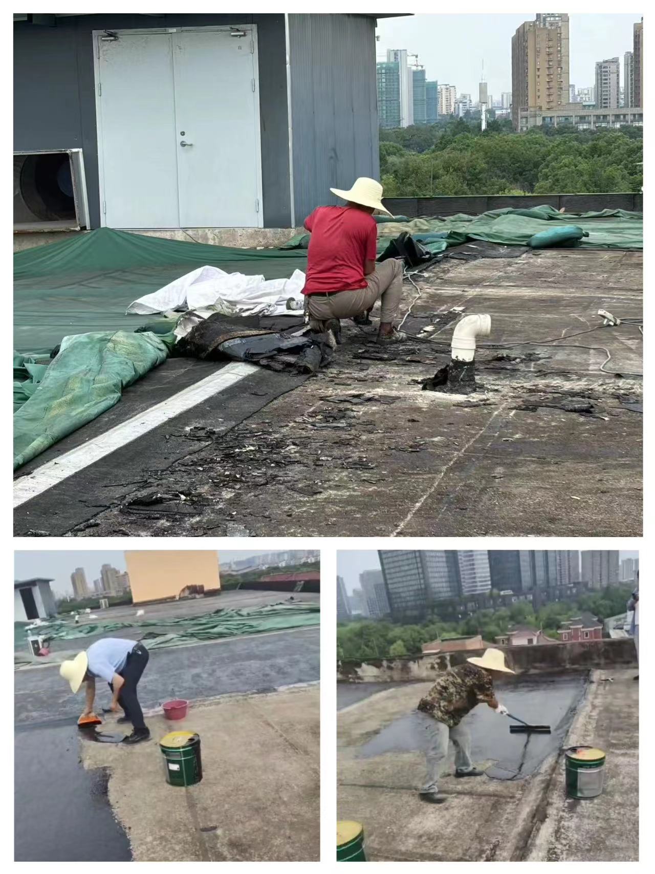 dd24397d9e244878cb6bc1961214e04.jpg dd24397d9e244878cb6bc1961214e04.jpg